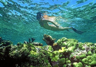 Explora el fondo del mar